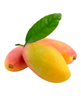 Large Fresh Mango