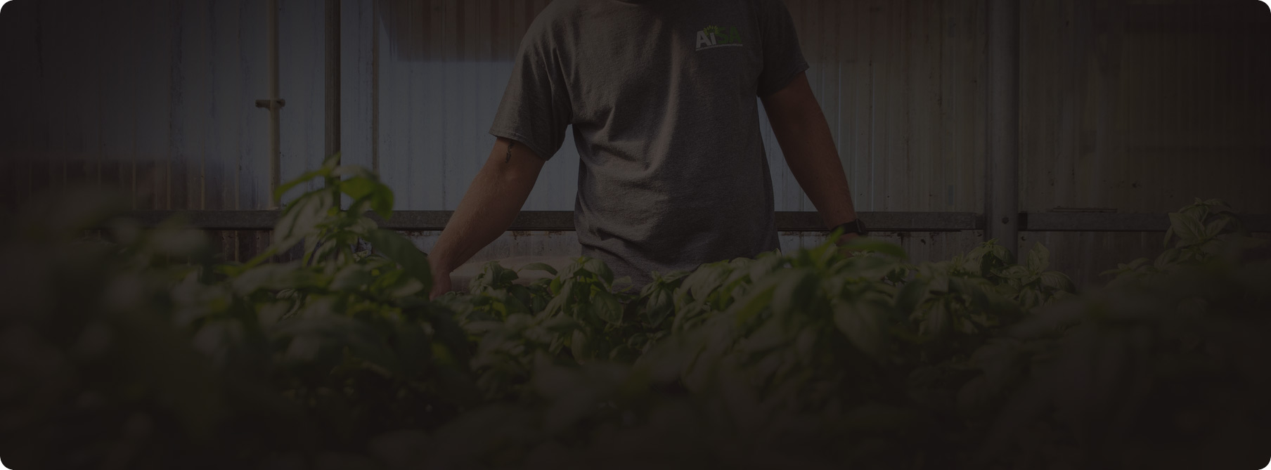 Bring to the table win-win survival strategis