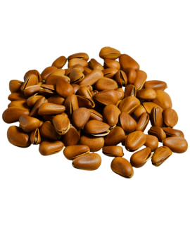 Brown Nuts