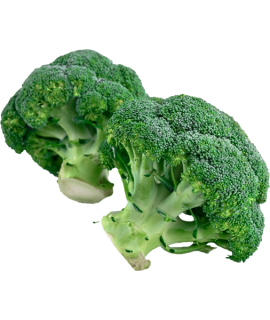Organic Broccoli Sliced