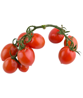 Red Cherry Tomato