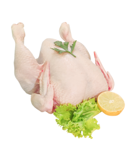 Fresh Full Chicken