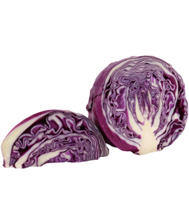 Sliced Purple Cabbage