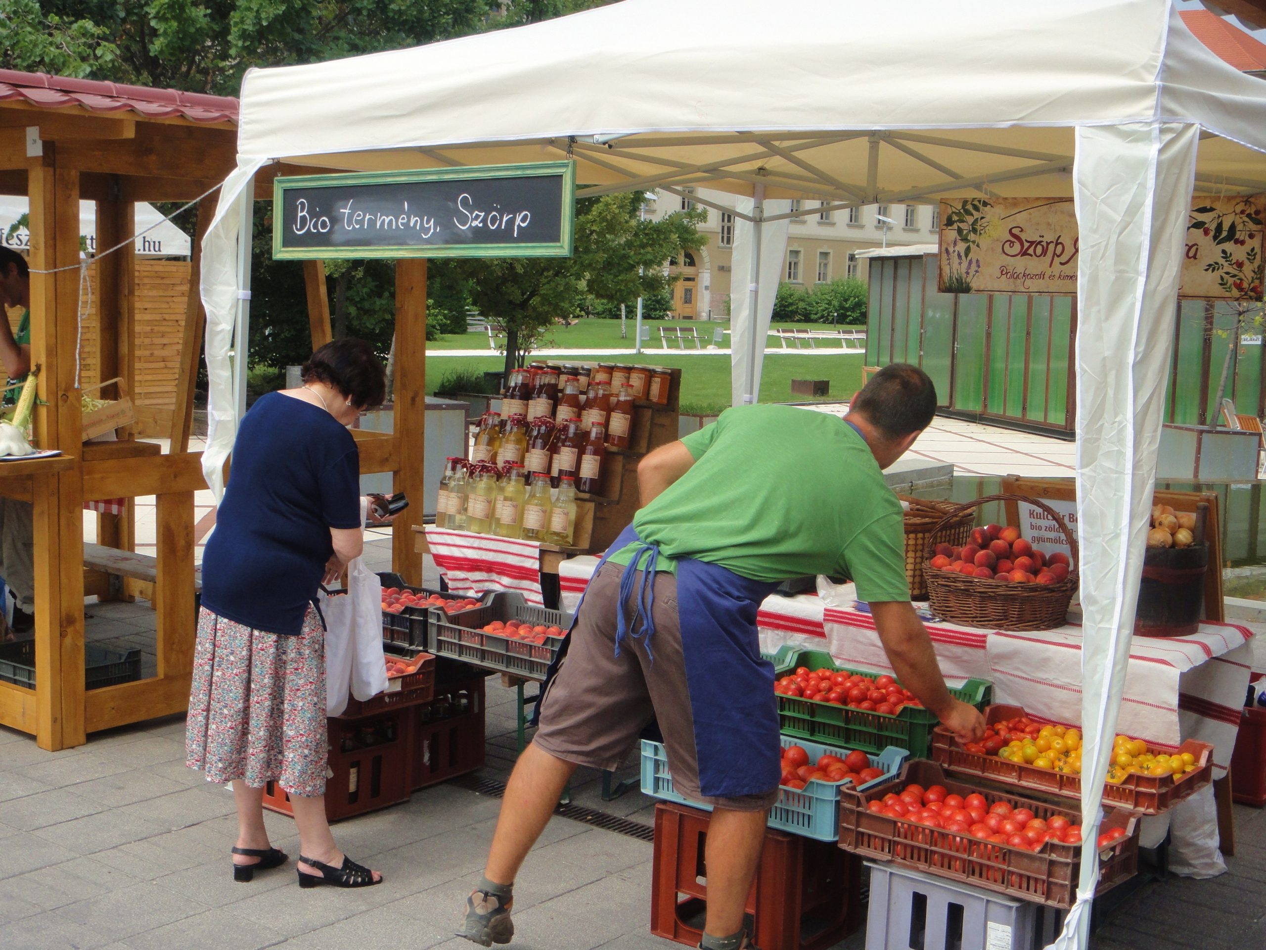 Creating Efficiencies for Clients in Their CMS.