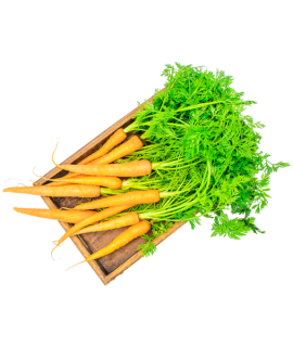 Vegan Red Carrot