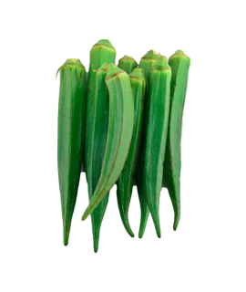 Green Lady Finger