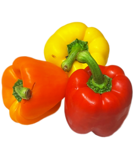 Mixed Vegan Capsicum